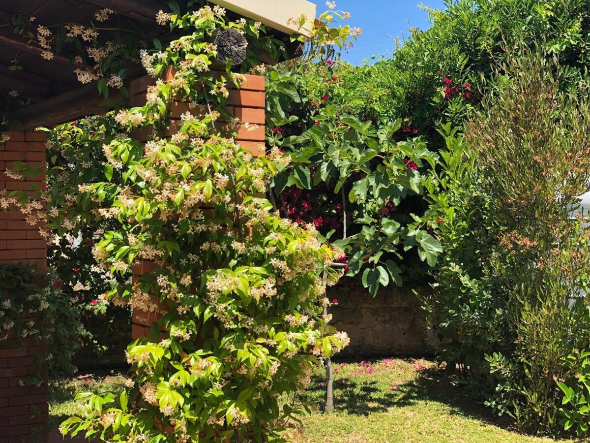 Le Tre Palme Villa Fontane Bianche Exterior foto