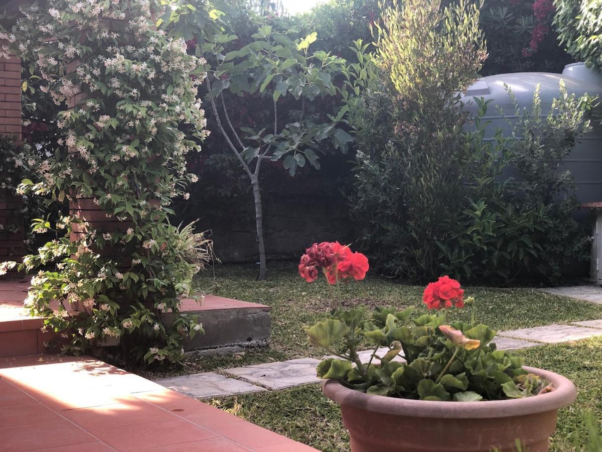 Le Tre Palme Villa Fontane Bianche Exterior foto